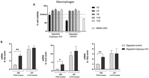 Figure 1. (A) Cell viability and (B) changes in mRNA cytokine expression of digested COLPROPUR D® samples (aprox. 2,5 mg/mL) in M0 and M1 macrophages after 2 h in contact. DMSO: dimethyl sulphoxide **p ≤ 0.01; *p ≤ 0.05. n = 5.