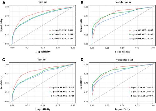 Figure 4 Predictive performance of the survival nomogram reflected by td-ROC curves. td-ROC curves for the 1-year, 3-year and 5-year OS in patients in the training cohort (A) and in the validation cohort (B). td-ROC curves for the 1-year, 3-year and 5-year CSSS in patients in the training cohort (C) and in the validation cohort (D).