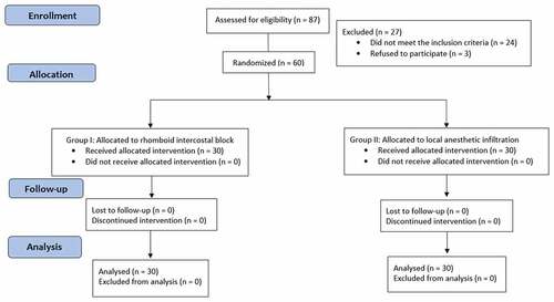 Figure 1. The trial flow diagram.