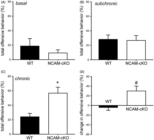 Figure 4. Aggressive-like behavior in the resident-intruder test. (A) Experiment 1: Aggressive behavior under basal conditions. No differences were observed between the two groups in the percentage of offensive behavior during the RI test. (B–D) Experiment 2. (B) Aggressive behavior after subchronic stress. The NCAM-cKOs did not differ from WTs regarding offensive behavior in the RI test after the first period of stress. (C) Aggressive behavior after chronic stress. We observed a significantly higher percentage of time of offensive behavior in NCAM-cKOs compared to WTs after the second period of stress. (D) Change in aggression-related behavior depending on the stress duration. When calculating the change in offensive behavior from RI1 to RI2, a significantly higher increase in offensive behavior in NCAM-cKOs compared to WTs was evident. *p < 0.01 #p < 0.05 versus WT.