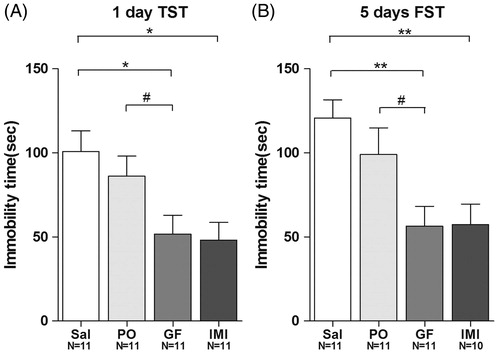 Figure 7. The antidepressant effects of Griflola frondosa (GF) are stronger than that of Pleurotus ostreatus (PO). CD-1 mice were fed with their regular mouse chow, a medium dose of GF-containing food (GF powder:mouse chow = 1:2), or a medium dose of Pleurotus ostreatus (PO) (PO powder:mouse chow = 1:2). For the positive control group, mice were i.p. injected with imipramine (15 mg/kg/day, IMI). Mice in the negative control group were i.p. injected with saline (Sal). After one day of drug administration, mice were subjected to the TST; and after 5 days of drug administration, mice were subjected to the FST. The number of mice per group is indicated in each individual graph. Data were analysed by one-way ANOVA and presented as the mean ± SE (post hoc Tukey’s test, *p < 0.05, **p < 0.01, ***p < 0.001; two-tail t-test, #p < 0.05, ##p < 0.01). (A) After one day of treatment, GF significantly reduced immobility time in the TST but PO did not. (B) After 5 days of treatment, GF significantly reduced immobility time in the FST, but PO did not.