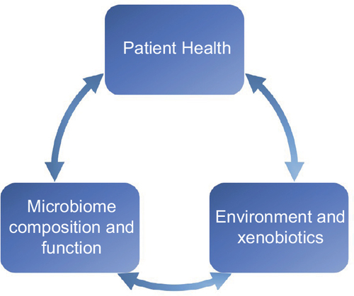 Figure 3 Bidirectional relationships between the environment and xenobiotics (including diet, lifestyle, and medications) and host microbiome and patient health.