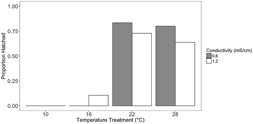 Figure 4. Hatch proportion for embryos reared at each conductivity and temperature. These are replicate embryos reared individually, not replicate groups; therefore, there are no error bars.