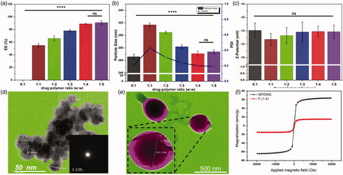 Figure 2. Characterizations of the engineered NPs: (a) Entrapment efficiency, EE%, (b) Particle size and PDI, and (c) zeta-potential of different formulations; (d) TEM images of the developed SPIONS (gray shadow represents SPIONS), the selected area is an electron diffraction (SAED) image (inset), (e) TEM images of SMV-loaded magnetic PLGA-COO-SMV NPs with lecithin coating layer (purple shadow represents the lecithin-coating and the dark red shadow represents SPIONS-loaded PLGA core), and (f) Vibrating sample magnetometer (VSM) results of SPIONS and the selected formulation, F (1:4) NPs. Data are represented as mean ± SD (*p < .05, **p < .01, ***p < .001, ****p < .0001 and n ≥ 3).