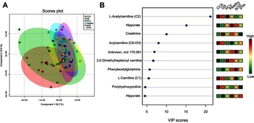 Figure 10 Urine metabolites associated with the metabolic signatures of the six distinct disease conditions – positive mode. (A) Scores plot of the principal component analysis (PCA) analysis, R2Y=41% and Q2Y=16% from 2 PC model, p-value=0.01 from permutation test and (B) important metabolites selected on the basis of VIP score.Abbreviations: CCA, cholangiocarcinoma; GS, gallstones, HCV, noncirrhotic hepatitis C; SOD, sphincter of Oddi dysfunction; STRI, strictures.