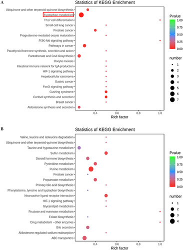 Figure 5 KEGG pathway enrichment analysis of differential metabolites between the control group and Pneumocystis-infected WT mice. (A) Positive and (B) negative ion modes.