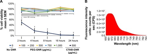 Figure 5 Characterization of PEG-GNR cytotoxicity and fluorescence.Notes: (A) MTS assays were used to examine consistency or changes in metabolic activity of the cells incubated in the absence of GNRs or in the presence of CTAB-GNR or PEG-GNR. MTS indicates that CTAB-GNR, shown in Figure 4A, is toxic for HUVEC. CTAB-GNR treated cells exhibit statistically significantly lower viability, compared to untreated (no GNR) cells, at 2, 4, 8, 16, and 24 hours (significance, denoted by †, was determined by paired t-test). The loss in viability of CTAB-GNR treated cells begins as early as 2 hours in treatment, with viability dropping more significantly by 24 hours (significance, denoted as **P<0.01, ***P<0.001, and ****P<0.0001, was determined by ANOVA and Tukey’s multiple comparison test). On the other hand, PEG-GNR, as depicted in Figure 4B, was found by MTS to show excellent compatibility with HUVEC for up to 24 hours and at up to 1 mg/mL concentration. N=3. (B) The AF-647 conjugated PEG-GNR, shown in Figure 4B, has a fluorescence intensity that peaks at 660–670 nm, which coincides with the emission for AF-647 fluorophores.Abbreviations: CTAB, cetyltrimethylammonium bromide; GNRs, gold nanorods; HUVEC, human umbilical vein endothelial cell; PEG, polyethylene glycol; SEM, standard error of the mean.