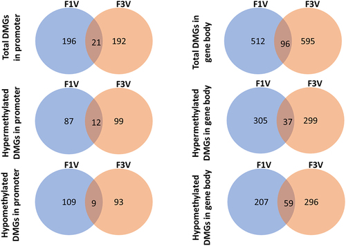 Figure 3. Venn diagrams for hypermethylated, hypomethylated, and total DMGs in promoter and gene body, showing numbers of common DMGs between the F1 and F3 generations in the BaP treatment.
