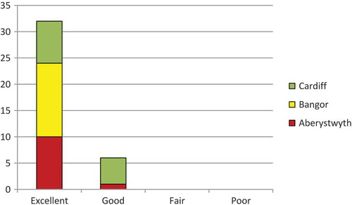 Figure 6. Overall how would you rate the event? (Please tick one option).