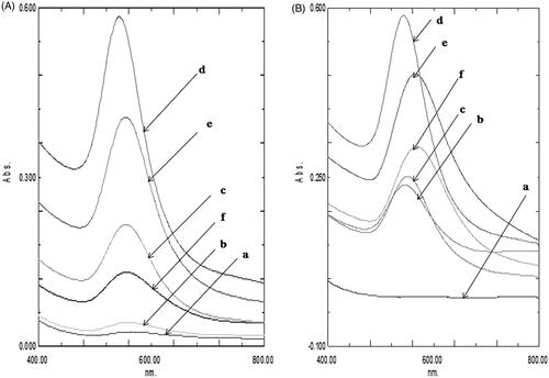 Figure 1. (A) UV-Vis spectra of AGAunps using different molar ratio of HAuCl4: AG (a) 1:1, (b) 1:1.1, (c) 1:1.2, (d) 1:1.4, (e) 1:1.6, (f) 1:1.8. (B) UV-Vis spectra as a function of reaction time for the reaction of Au and AG at (a) 10 min, (b) 20 min, (c) 25 min, (d) 30 min, (e) 40 min and (f) 50 min.