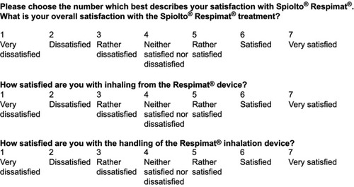 Figure S1 Patient satisfaction questionnaire.