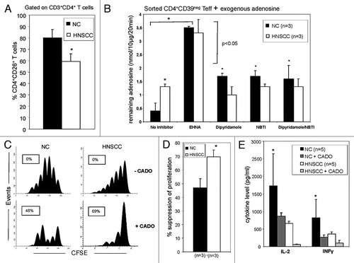 Figure 3. ADA activity in Teff of NC and patients with HNSCC. (A) Freshly isolated PBMC from NC (n = 15) and HNSCC patients (n = 15) were stained and analyzed by flow cytometry for percentages of CD39negCD4+CD26+ T cells. The data are means ± SD. The asterisk indicates p < 0.05. (B) Single cell-sorted CD4+CD39neg cells from NC and HNSCC patients were plated in 96-well plates (25,000 cells/well) with 10 µM of exogenous adenosine and in the presence or absence of different reagents. Remaining adenosine levels were determined in the cell supernatants after 20 min of addition of exogenous adenosine by mass spectrometry. Data (means ± SD) are from three independent experiments per group. Asterisks indicate p < 0.05. (C) PBMC obtained from a representative NC or HNSCC patient were single-cell sorted into CD4+CD39+ (S) and CD4+CD39neg T cells (RC). The latter were CFSE labeled and stimulated with plate-bound OKT-3 and soluble anti-CD28. Afterwards S were added to the culture and incubated with 150 IU/ml of IL-2 for 5 d. Cells were analyzed by flow cytometry as described in Materials and Methods. To selected wells CADO (20 μM) was added. The FACS plots are from an experiment representative of three independent experiments performed. (D) Results of suppression assays performed as outlined in C. The data are means ± SD. The asterisk indicates p < 0.01. (E) Single cell-sorted CD4+CD39neg cells were plated in 24-well plates (1x106 cells/well) and activated with OKT-3 (1 μg/ml) and anti-CD28 (1 μg/ml) in the presence or absence of CADO (20 μM) for 24 h. Cytokine levels in the cell supernatants were determined by LUMINEX. Data (means ± SD) are from five independent experiments. Asterisks indicate p < 0.05