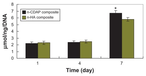 Figure 8 ALP activity of MG-63 cells cultured on n-CDAP and n-HA composite scaffolds over time.Abbreviations: n-CDAP, nano calcium-deficient apatite; n-HA, nano hydroxyapatite; ALP, alkaline phosphate.