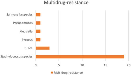 Figure 3 Distribution of multidrug-resistant bacterial isolates obtained from hospitalized patients in the hospital, Mogadishu, Somalia.