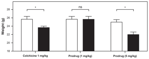 Figure 3 Effect of in vivo toxicity of colchicine and colchicinoid prodrug on the body weight of mice. To study their in vivo toxicity, colchicine (1 mg/kg) and the colchicinoid prodrug (1 mg/kg and 5 mg/kg colchicine equivalents) were intravenously injected into B16F10 melanoma-bearing mice. The weight of the mice was measured upon injection (0 hours, white bars) and 24 hours (black bars) after injection.Notes: Significant weight loss was observed for mice treated with 1 mg/kg colchicine (7.7%, P = 0.0371, one-tailed paired t-test) and 5 mg/kg colchicinoid prodrug (12.0%, P = 0.0175) (indicated by *), but not for mice treated with 1 mg/kg colchicinoid prodrug (0%, P > 0.05) (indicated by NS).