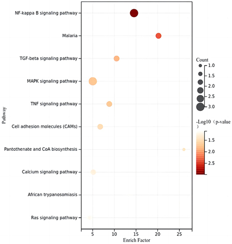 Figure 6 A dot plot of top 10 KEGG pathway of linear counterparts of DECs in COPD-PH. KEGG analysis according to rich factor, q-value and the number of enriched genes.