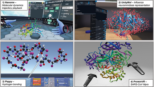 Figure 3. Scenes from VR software for molecular modeling. 1) A scene from the interactive molecular dynamics tutorial from the Nanome software [Citation30], where the user is inspecting the first frame of a trajectory. 2) UnityMol software [Citation103] showing a cartoon and hyperball representation of the influenza neuraminidase protein (PDB 3TI6). 3) Hydrogen bonding (rendered as white glowing interactions) between a 20 amino acid long polypeptide in the software, Peppy [Citation88]. 4) The SARS-CoV Mpro (PDB 2Q6G) in a rainbow cartoon representation using the web-based VR software ProteinVR [Citation29]. Images created by the author using interactive VR software Nanome [Citation30], UnityMol [Citation103], Peppy [Citation88], and ProteinVR [Citation29].