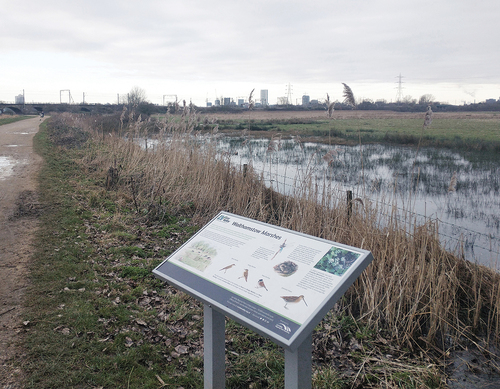 Figure 2. Walthamstow Marshes, London, winter 2023.