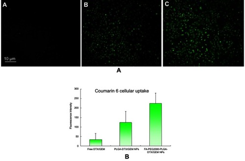 Figure 2 Hemolytic activity results (B) and photo images (A) at different polymeric concentrations.