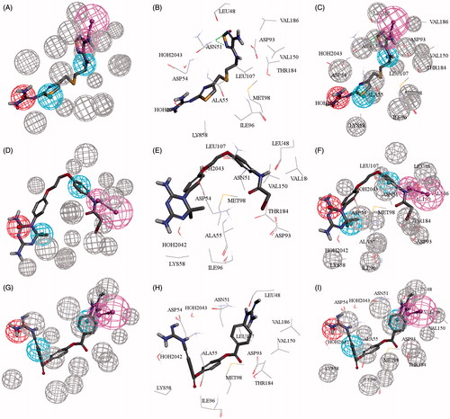 Figure 5. (A, D, G) Mapping compounds (84, 86, 88), respectively with 2XJX_2_05; cocrystallized pharmacophore generated by DS studio 4.5, (B, E, H) docked compounds (84, 86, 88), respectively in ATPase binding pocket of Hsp90 (2XJX, resolution 1.66 Å), (C, F, I) compounds (84, 86, 88) mapped and docked.