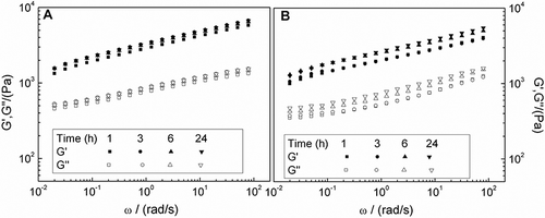 Figure 1 Storage (G’) and loss (G”) moduli of dispersions of CFPI gels at 100 g kg1 as a function frequency and storage time at pH 2 (a) and 6 (b).