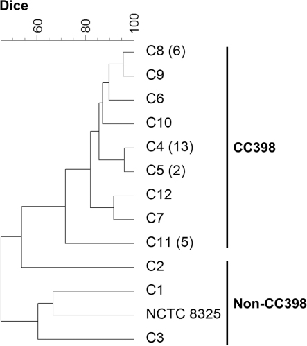 Figure 2. Dendrogram showing the relatedness between Cfr9I macrorestriction PFGE patterns generated from S. aureus turkey isolates and the control strain NCTC 8325. At a Dice similarity index of 71.7% a cluster grouping the CC398 isolates was detected. The number of isolates is included after the profile type in those cases in which more than one isolate showed that profile.