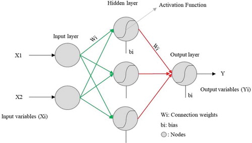 Figure 1. Representation of a feedforward artificial neural network (ANN) with three layers