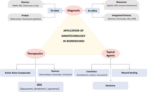Figure 6 Diverse application of fungal based nanoparticles in the field of biomedicine.