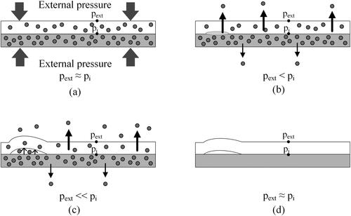Figure 7. Schematic representation of the evolution of the amount of gas inside the liner/composite assembly; (a) during the exposure to saturation pressure, (b) during the depressurization phase, (c) at the end of the depressurization phase, and (d) after complete gas desorption.[Citation19,Citation68]