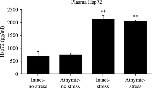 Figure 3.  Adult, male rnu+ and rnu/rnu athymic nude rats were either exposed to 100, 5 s, 1.6 mÅ, inescapable tail-shocks (stress) or remained in their home cages as no stress controls. Immediately following stressor termination, all rats were rapidly decapitated and plasma collected. Hsp72 concentrations were measured using ELISA. ANOVA indicated that both athymic nude rats and heterozygous intact control rats exposed to tail-shocks (stress) increased plasma eHsp72 concentration compared to no stress controls (p = 0.0001). Data are group mean ± SE of the mean; 4–8 rats/group. ELISA, enzyme-linked immunosorbent assay; eHsp, extracellular heat shock protein.