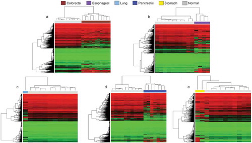 Figure 2. Cancer organoid DNA methylation profiles are distinct to their healthy tissue counterparts according to unsupervised hierarchical clustering. (a–e) Heatmaps showing unsupervised hierarchical clustering with bootstrap resampling DNA methylation clustering of each cancer organoid against its healthy tissue equivalent. All healthy samples are represented in light grey and are pertinent to the organoid cell type. For example, the heatmap represented in Figure 2a, light grey represents normal colorectal tissue methylation, in Figure 2b, light grey represents methylation clustering in healthy oesophageal cells, etc. In all heatmaps, red represents methylated CpGs, green unmethylated CpGs, and black. Organoid DNA methylation profiles are displayed by cancer types: brown (colorectal cancer), violet (oesophageal cancer), light blue (lung cancer), dark blue (pancreatic cancer), yellow (stomach cancer), and light grey (corresponding normal tissue). All interrogated CpGs were analysed using only EPIC and 450 K shared probes
