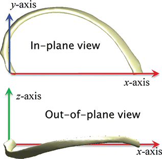 Figure 1. In-plane view and out-of-plane view of a single rib.