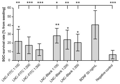 Figure 4 Survival rates of cultured SGC treated with LNC–FITC and LNC–Blank in different concentrations (n = 9 for each group, mean ± SD). Stock solution of LNC contained 45 mg/mL FITC (4.2 × 1015 LNC/mL). BDNF (50 ng/mL, n = 9) served as positive control. The SGC survival rate of all experimental groups differed significantly from the survival rates of neurons treated with BDNF (upper horizontal line; *P < 0.05; **P < 0.01; ***P < 0.001). Statistically significant differences of LNC (with and without FITC)-treated SGC compared to the negative control are marked above the respective column.Abbreviations: BDNF, brain-derived neurotrophic factor; FITC, fluorescein isothiocyanate; LNC, lipidic nanocapsules; SD, standard deviation; SGC, spiral ganglion cells.