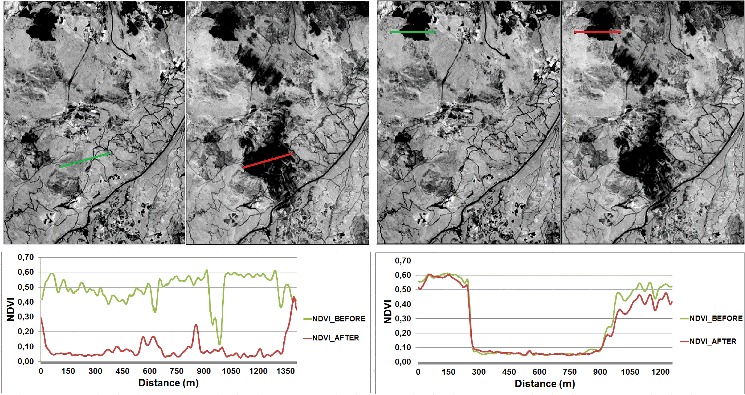 Figure 3. Cross sections derived from before and after NDVI images.