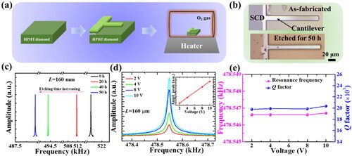 Figure 1. (a) The simplified treatment process for the chemical etching of the SCD cantilevers in an oxygen ambient. (b) Optical images of a 160 um-long SCD cantilever without and with the etching treatment. (c) Resonance spectra shifts of the SCD cantilever with the etching duration increasing. (d) The typical resonance frequency spectra of a 160 μm-long SCD cantilever suffered from the oxygen etching for 20 hrs. The inset shows that the peak amplitude linearly increases with the actuation voltage. (e) Resonance frequencies and Q factors as a function of the actuation voltages.