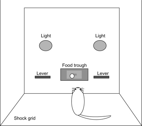 Figure 1 Discriminated conditioned punishment (DCP) operant chamber arrangement.