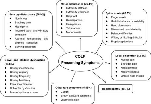 Figure 8 The category and frequency of presenting symptoms of COLF patients included.