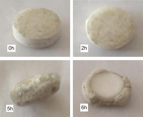 Figure 7.  Photo images of tablets during in vitro dissolution study using digital camera at different time intervals.