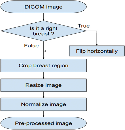 Figure 4. The image pre-processing scheme.