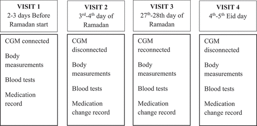 Figure 1. Time plan for the study.