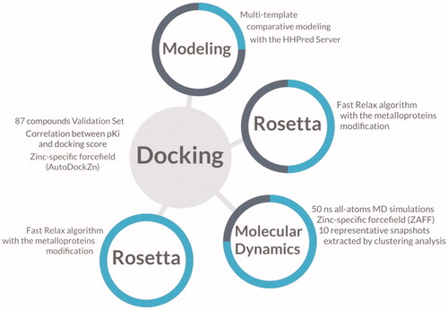 Figure 1. Schematic illustration of the methods involved in the construction of the model for the virtual screening. The progress of the investigation is described as a cyan circle in each step of the molecular modelling.