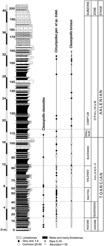 Figure 2 Stratigraphic succession of the Fuentelsaz section and the relative distribution of theClassopollis species.
