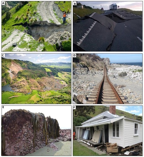 Figure 2. Photographs showing surface rupture, damage to transport infrastructure and buidlings, landslides and coastal uplift from the 2016 Kaikōura Earthquake. (A) Surface rupture of the Kekerengu Fault where it displaces a farm track by ∼6.8 m horizontally (right lateral)(Site 23 in Kearse et al. Citation2018). Photograph looking northwest and taken by Tim Little on 20 November, 2016. (B) Rupture of State Highway 1 along the Hundalee Fault immediately north of Oaro, where ∼3.7 m right-lateral and ∼1.5 m vertical displacement accrued in the earthquake (Williams et al. Citation2018). Photograph looking northeast and taken on 14 November 2016 by Daniel Bullen. (C) Leader landslide viewed towards the northeast. The landslide volume is ∼6 million m3 and dammed the Leader River to produce the ∼1100 m long Lake Rebekah (Abad et al. Citation2022). Photograph by Kate Pedley, 11 December, 2016. (D) Displaced railway tracks Half Moon Bay. The railway tracks were dislodged and transported seawards >100 m by a landslide (top left of the photograph) which blocked State Highway 1 and came to rest on the shore platform. Photograph by Vasiliki Mouslopoulou, 5 February, 2017. (E) Coastal uplift of ∼2 m south of Kaikōura showing high-and-dry marine fauna and flora (e.g. paua, bull kelp and coralline algae) the day of the earthquake. Photograph by Will Wilding, 14 November, 2016. (F) Kaikōura Earthquake tsunami caused extensive damage to a historical cottage at Little Pigeon Bay on Banks Peninsula. Locally the tsunami reached a height of ∼3 m at this location, with the anomalously large wave height being due to the narrow bay and its north facing aspect. Photograph by William Power, November, 2016. For locations of A-E see Figure 1.