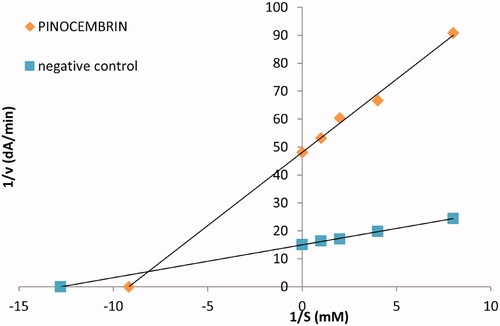 Figure 3. The Lineweaver–Burk plot of α-glucosidase and p-NPG without pinocembrin (negative control) and with pinocembrin at IC50 concentration (PINOCEMBRIN).