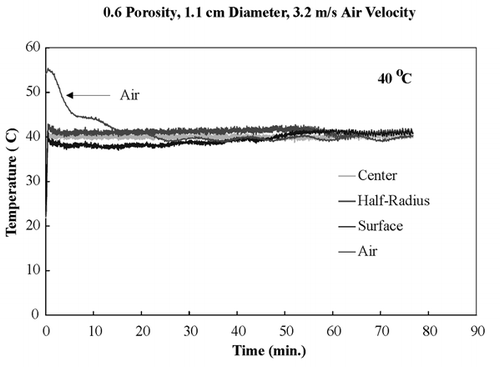 Figure 4. Isothermal temperature profiles.