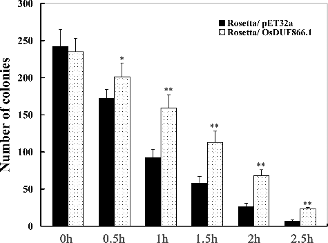 Figure 3. Growth of E. coli recombinants overexpressing OsDUF866.1 under heat stress.