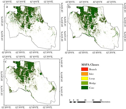 Figure 6. MSPA of the bare soil with exposed rock demonstrating the evolution of its morphology in terms of core, bridge, loop, islet, and branch structures for (a) 1990, (b) 2000, and (c) 2020.