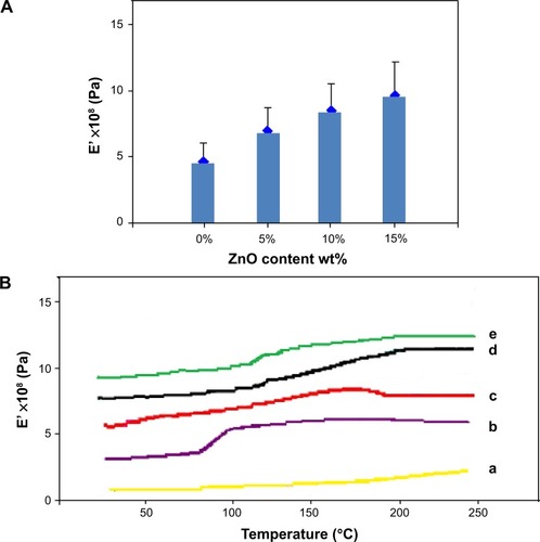 Figure 5 Mechanical properties of the Ppy/CS nanocomposite.Notes: (A) Storage modulus (E’) versus ZnO NP content and (B) storage modulus (E’) versus temperature for (a) Ppy and Ppy/CS films prepared with (b) 0.0%, (c) 5.0%, (d) 10%, and (e) 15% of ZnO NPs.Abbreviations: Ppy, polypyrrole; CS, chitosan; ZnO, zinc oxide; NP, nanoparticle; wt, weight.