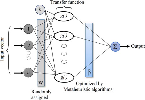 Figure 2. The general schematic structure of the ELM model.