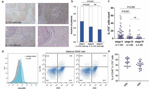 Figure 1. Identification of tumor-infiltrating IL-17A+ cells in muscle-invasive bladder cancer. (a) Representative immunochemistry staining of IL-17A+ cells in muscle-invasive bladder. (b) A fraction of patients with high/low IL-17A+ cells in different TNM stages. (c) The number of tumor-infiltrating IL-17A+ cells in different TNM stages. (d) Representative flow cytometry analysis of the surface markers expressed by IL-17A+ cells from fresh human muscle-invasive bladder cancer samples. (e) Quantification analysis of surface markers expressed by tumor-infiltrating IL-17A+ cells